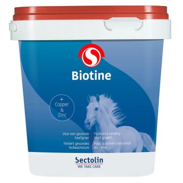 Sectolin Biotin