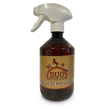 Sectolin Duo Mug and Eczema Spray