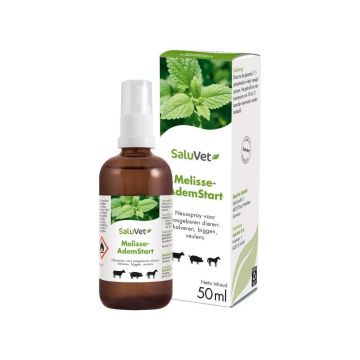 Sectolin Melissengeist Breath Spray - SaluVet 