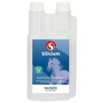 Sectolin Silicon Horse