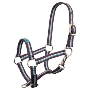 Premiere Halter foal Fun Veulen XS-VERVALLEN Purple