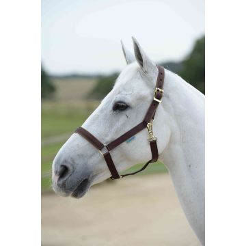 Bucas Dumbbell Dublin Pony Brown