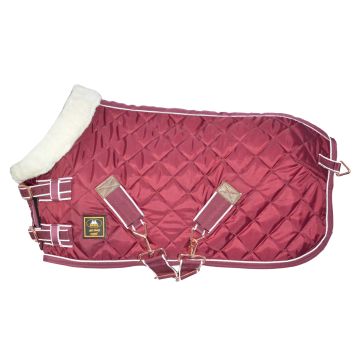 MHS Show rug "Star Performer" 215 Bordeaux