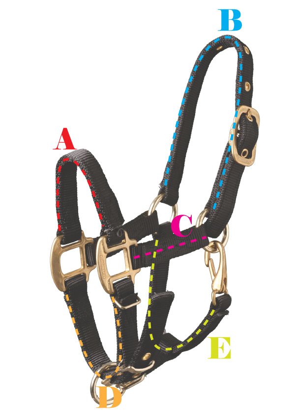 Hamilton Halter Size Chart